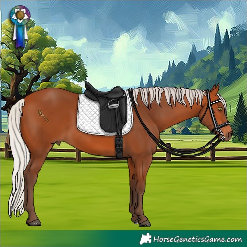 Horse Color:Silver Bay 