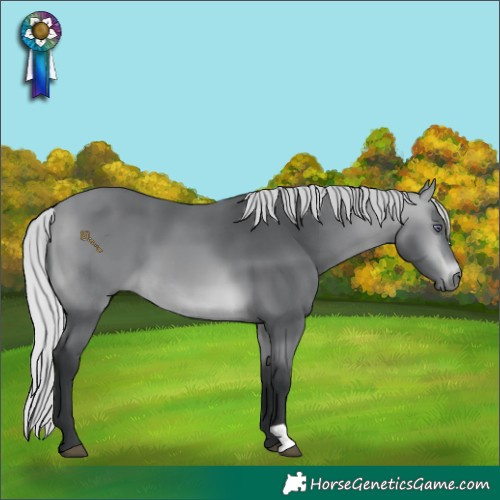 Horse Color:Silver Bay Chinchilla 