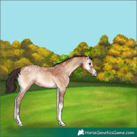 Horse Color:Bay Ice Onyx 