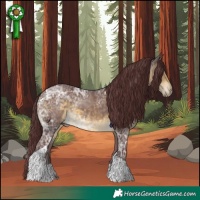 Horse Color:Chocolate Buckskin Ice Tobiano Rabicano