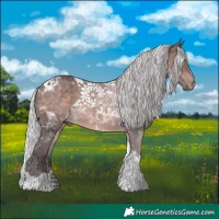 Horse Color:Platinum Silver Brown Tobiano 