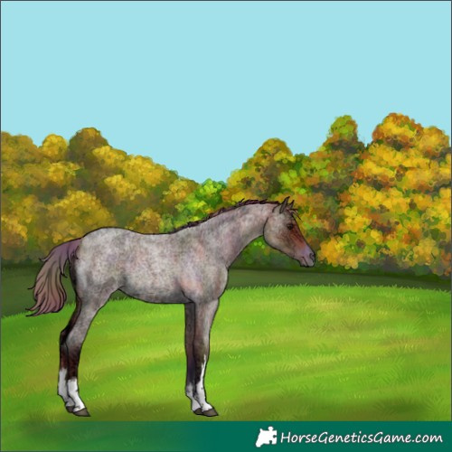 Horse Color:Nacre White Spotted Chocolate Bay Ice Roan 