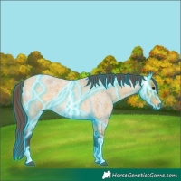 Horse Color:Thunderstruck Chocolate Buckskin Roan Tobiano 