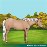 Horse Color:Silver Black Pearl 