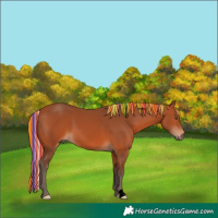 Horse Color:Void Painted Silver Bay 