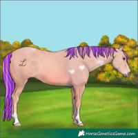 Horse Color:Painted Watercolor Chestnut 