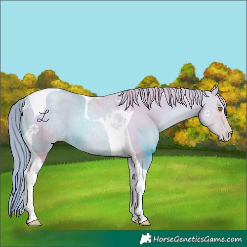 Horse Color:Watercolor Chestnut Pearl Tobiano 