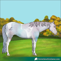 Horse Color:Watercolor Chestnut Pearl Tobiano 