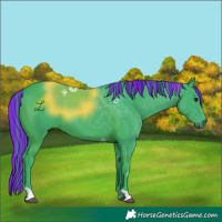 Horse Color:Painted Watercolor Smoky Black 