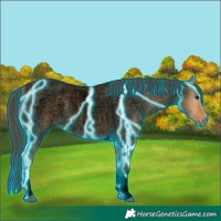 Horse Color:Void Thunderstruck Bay Roan Dun Tobiano 