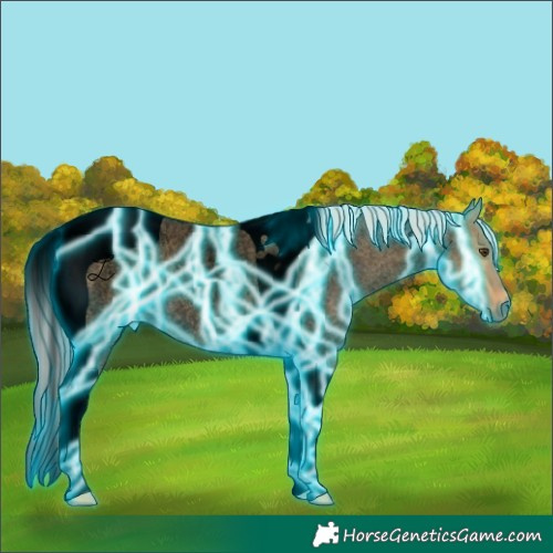 Horse Color:Void Thunderstruck Silver Buckskin Roan Dun Tobiano 