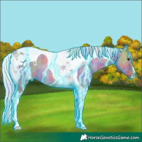Horse Color:Nacre Thunderstruck Silver Bay Dun Tobiano 