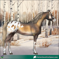 Horse Color:Chocolate Palomino Onyx Appaloosa