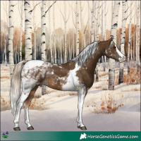 Horse Color:Chocolate Palomino Splash Tobiano 
