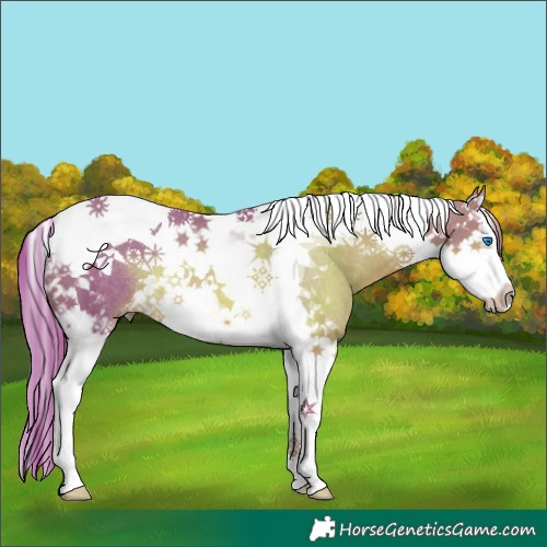 Horse Color:Watercolor Chestnut Splash Tobiano Rabicano