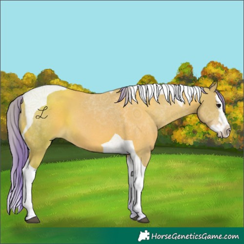 Horse Color:Platinum Watercolor Bay Splash Tobiano 