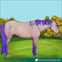 Horse Color:Watercolor Bay Dun 