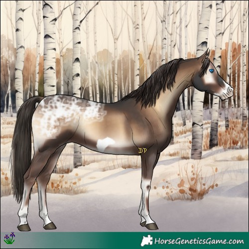 Horse Color:Liver Red Onyx Ice Frame