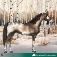 Horse Color:Liver Red Onyx Ice Frame 