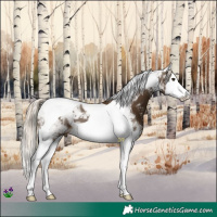 Horse Color:Chocolate Palomino Sabino Splash Tobiano