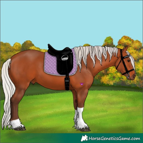 Horse Color:Silver Bay Tobiano