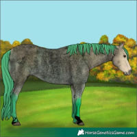 Horse Color:Void Watercolor Buckskin Roan 