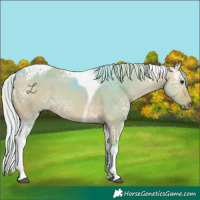Horse Color:Watercolor Silver Bay Ice Dun Tobiano