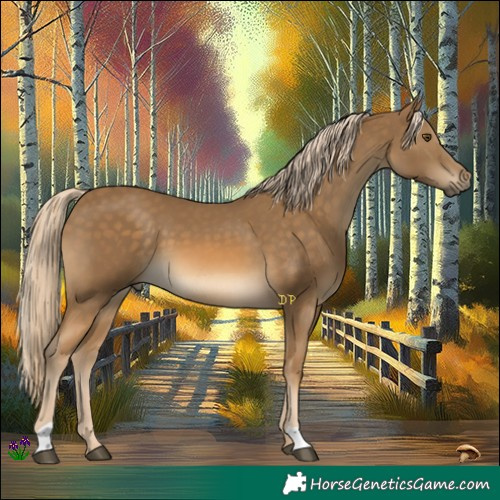 Horse Color:Chocolate Palomino Mushroom 