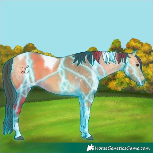 Horse Color:Thunderstruck Buckskin Dun Tobiano 