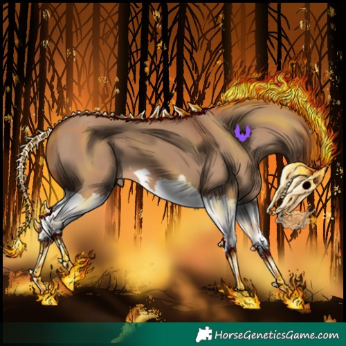 Horse Color:Red Dun Splash 