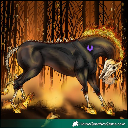 Horse Color:Brown 