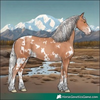Horse Color:White Spotted Silver Classic Champagne
