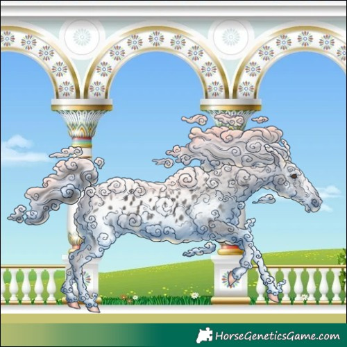 Horse Color:Liver Chestnut Sabino Appaloosa