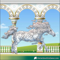 Horse Color:Liver Chestnut Sabino Appaloosa
