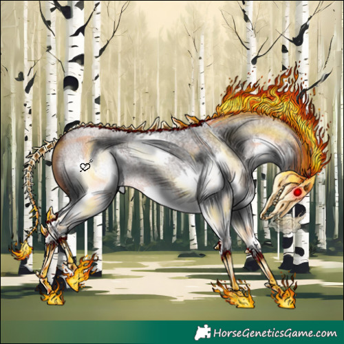 Horse Color:Brown Roan Splash 