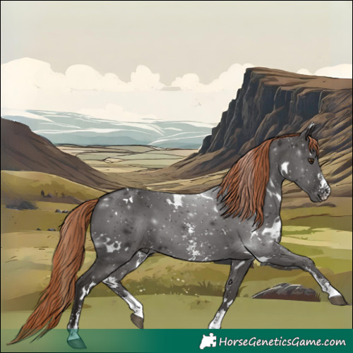 Horse Color:White Spotted Liver Chestnut Sabino 