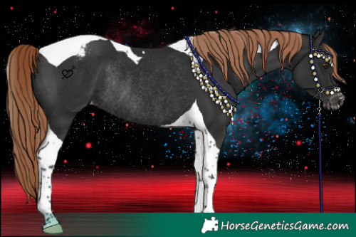 Horse Color:Liver Chestnut Tobiano Varnish Rabicano