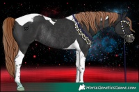 Horse Color:Liver Chestnut Tobiano Varnish Rabicano 