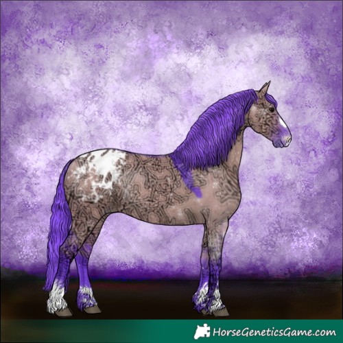 Horse Color:Watercolor Chocolate Grullo Ice Appaloosa Rabicano 