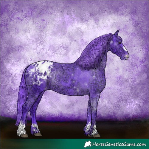 Horse Color:Watercolor Chocolate Smoky Black Ice Appaloosa Rabicano 