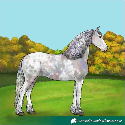 Horse Color:Nacre White Spotted Silver Black Ice Splash Tobiano Appaloosa Rabicano 