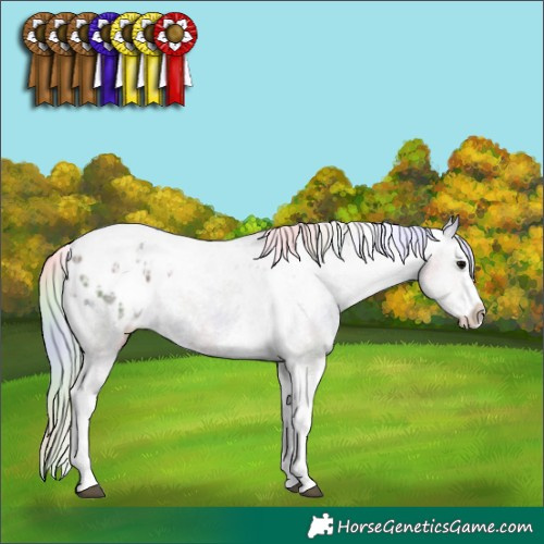 Horse Color:Nacre White Spotted Silver Black Ice Splash Tobiano Varnish Rabicano 