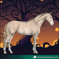 Horse Color:Perlino Sabino 