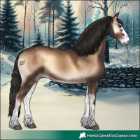 Horse Color:Liver Red Onyx