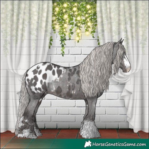 Horse Color:White Spotted Silver Brown Ice Sabino Blanket 