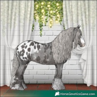 Horse Color:White Spotted Silver Brown Ice Sabino Blanket 