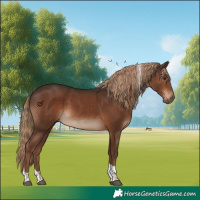 Horse Color:Liver Chestnut Tobiano 