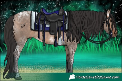 Horse Color:Bay Ice Dun 