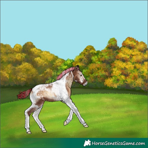 Horse Color:Painted Red Onyx Tobiano 