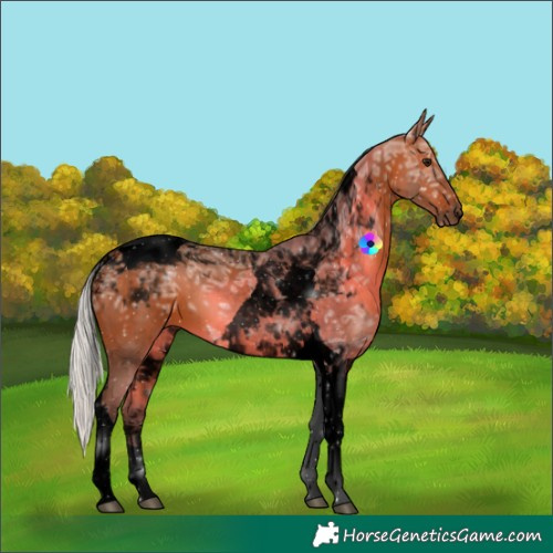 Horse Color:Void Silver Bay Ice Tobiano 